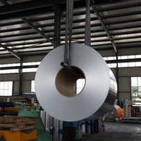 भालू गर्दन की पन्नी